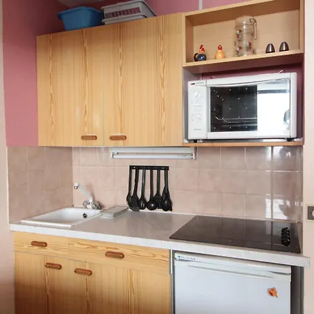 En Montagne Pour 4 Pers, Balcon Sud, Animaux Admis - Fr-1-687-121 Apartment Araches-la-Frasse