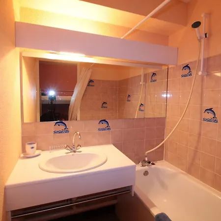 En Montagne Pour 4 Pers, Balcon Sud, Animaux Admis - Fr-1-687-121 Apartment Araches-la-Frasse
